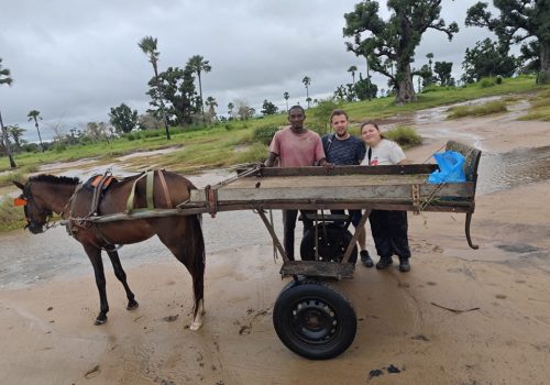 Balade en Quad, Buggy ou Calèche