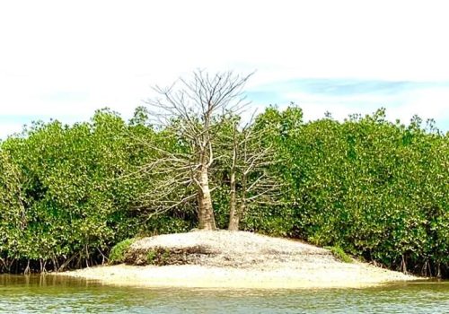 Les îles du Sine et Saloum